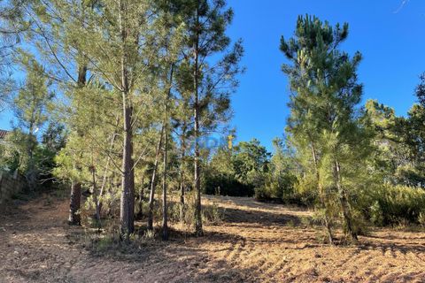 Helårsgrund i Castelo Branco, Castelo Branco, Castelo Branco - € 25.000 | Ref: ADN22069 - foto 2