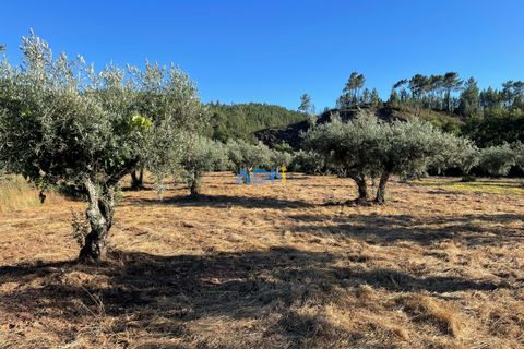 Helårsgrund i Castelo Branco, Castelo Branco, Castelo Branco - € 25.000 | Ref: ADN22069 - foto 3