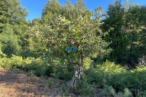 Helårsgrund i Castelo Branco, Castelo Branco, Castelo Branco - € 25.000 | Ref: ADN22069 - foto 8