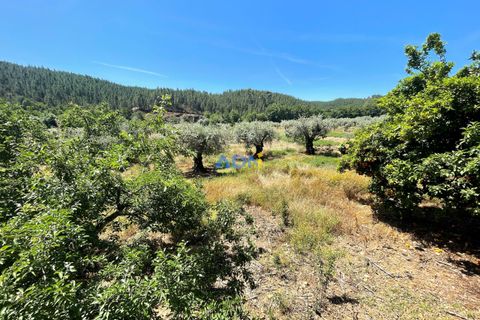 Helårsgrund i Castelo Branco, Castelo Branco, Castelo Branco - € 36.500 | Ref: ADN22070 - foto 8