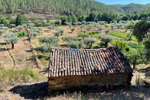 Helårsgrund i Castelo Branco, Castelo Branco, Castelo Branco - € 36.500 | Ref: ADN22070 - foto 1