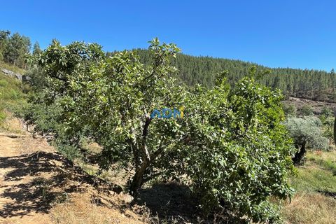 Helårsgrund i Castelo Branco, Castelo Branco, Castelo Branco - € 36.500 | Ref: ADN22070 - foto 13
