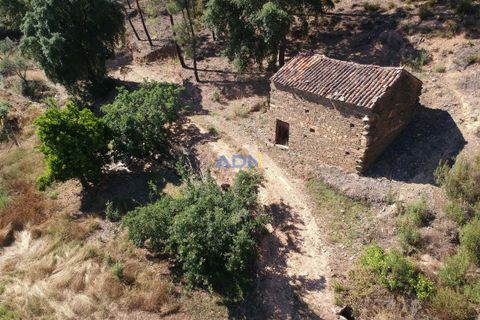 Helårsgrund i Castelo Branco, Castelo Branco, Castelo Branco - € 36.500 | Ref: ADN22070 - foto 10