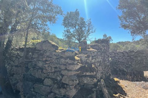 Tomt i Castelo Mendo, Guarda, Castelo Mendo - € 49 000 | Ref: ADN22081 - foto 2