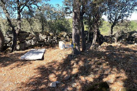 Tomt i Castelo Mendo, Guarda, Castelo Mendo - € 49 000 | Ref: ADN22081 - foto 4