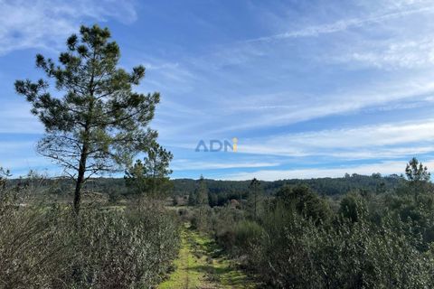 Helårsgrund i Castelo Branco, Castelo Branco, Castelo Branco - € 24.000 | Ref: 123006 - foto 2
