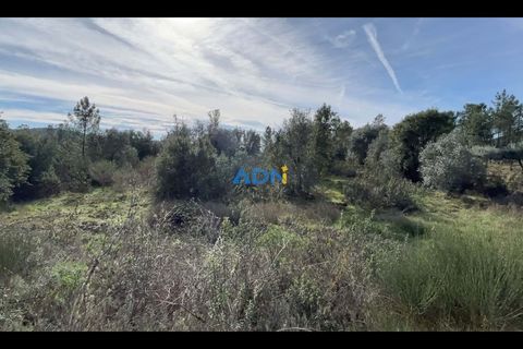 Helårsgrund i Castelo Branco, Castelo Branco, Castelo Branco - € 24.000 | Ref: 123006 - foto 3