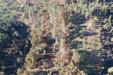 Helårsgrund i Castelo Branco, Castelo Branco, Castelo Branco - € 11.000 | Ref: 123008 - foto 1