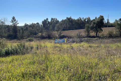 Farm hus i Castelo Branco, Castelo Branco, Castelo Branco - € 105.000 | Ref: 123014 - foto 3