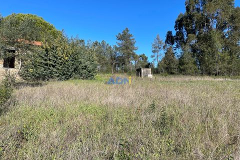 Farm hus i Castelo Branco, Castelo Branco, Castelo Branco - € 105.000 | Ref: 123014 - foto 6