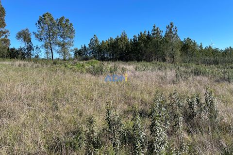 Farm hus i Castelo Branco, Castelo Branco, Castelo Branco - € 105.000 | Ref: 123014 - foto 9