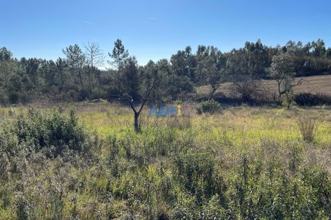 Farm hus i Castelo Branco, Castelo Branco, Castelo Branco - € 105.000 | Ref: 123014 - foto 10