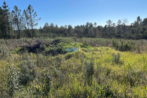 Farm hus i Castelo Branco, Castelo Branco, Castelo Branco - € 105.000 | Ref: 123014 - foto 11