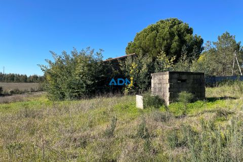 Farm hus i Castelo Branco, Castelo Branco, Castelo Branco - € 105.000 | Ref: 123014 - foto 8