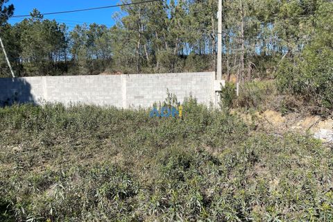 Farm hus i Castelo Branco, Castelo Branco, Castelo Branco - € 105.000 | Ref: 123014 - foto 13