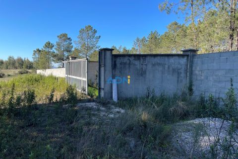 Farm hus i Castelo Branco, Castelo Branco, Castelo Branco - € 105.000 | Ref: 123014 - foto 23