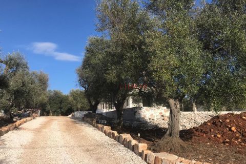 Lejlighed i Ostuni, Brindisi, Ostuni - € 11.111.111 | Ref: 221 - foto 4