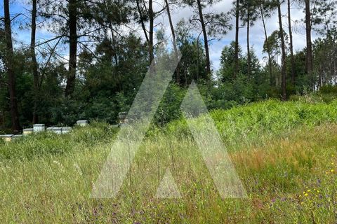 Helårsgrund i Leiria, Leiria, Leiria - € 70.000 | Ref: 1130742/23 LR - foto 6