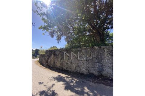 Helårsgrund i Venade e Azevedo, Viana do Castelo, Venade e Azevedo - € 100.000 | Ref: MM0157 - foto 2