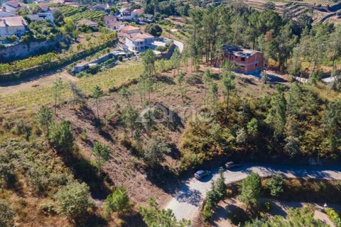 Helårsgrund i Amarante, Porto, Amarante - € 56.000 | Ref: ZMPT556772 - foto 2