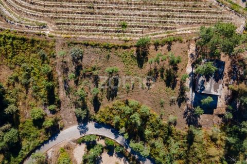 Helårsgrund i Amarante, Porto, Amarante - € 56.000 | Ref: ZMPT556772 - foto 13