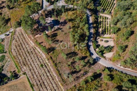Helårsgrund i Amarante, Porto, Amarante - € 56.000 | Ref: ZMPT556772 - foto 14