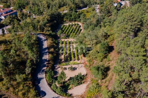 Helårsgrund i Amarante, Porto, Amarante - € 56.000 | Ref: ZMPT556772 - foto 15
