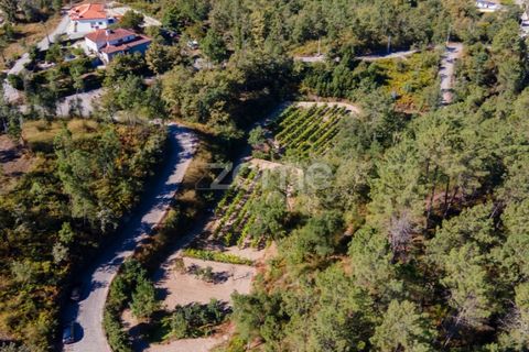 Helårsgrund i Amarante, Porto, Amarante - € 56.000 | Ref: ZMPT556772 - foto 16