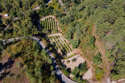 Helårsgrund i Amarante, Porto, Amarante - € 56.000 | Ref: ZMPT556772 - foto 18