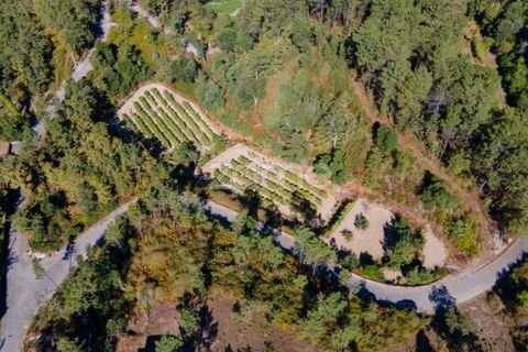 Helårsgrund i Amarante, Porto, Amarante - € 56.000 | Ref: ZMPT556772 - foto 21