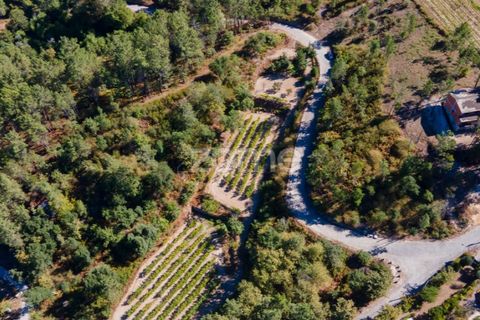 Helårsgrund i Amarante, Porto, Amarante - € 56.000 | Ref: ZMPT556772 - foto 25