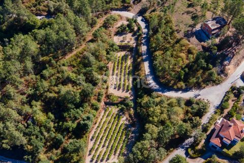 Helårsgrund i Amarante, Porto, Amarante - € 56.000 | Ref: ZMPT556772 - foto 27