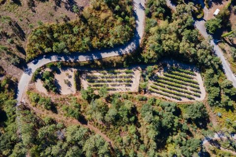Helårsgrund i Amarante, Porto, Amarante - € 56.000 | Ref: ZMPT556772 - foto 29