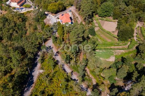 Helårsgrund i Amarante, Porto, Amarante - € 56.000 | Ref: ZMPT556772 - foto 38