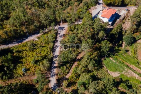 Helårsgrund i Amarante, Porto, Amarante - € 56.000 | Ref: ZMPT556772 - foto 39