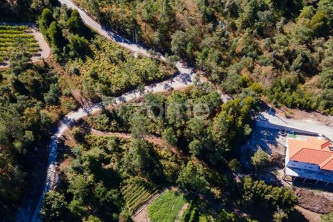 Helårsgrund i Amarante, Porto, Amarante - € 56.000 | Ref: ZMPT556772 - foto 43