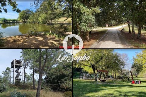 Helårsgrund i Trofa, Porto, Trofa - € 139.000 | Ref: 240-T-24353 - foto 3
