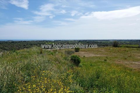 Villa i Carovigno, Brindisi, Carovigno - € 280.000 | Ref: VL298 - foto 3