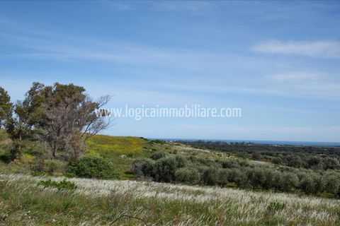 Villa i Carovigno, Brindisi, Carovigno - € 280.000 | Ref: VL298 - foto 5