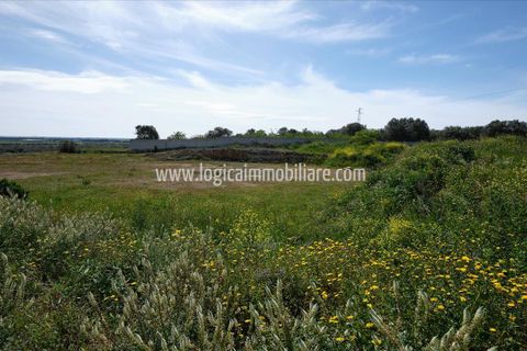 Villa i Carovigno, Brindisi, Carovigno - € 280.000 | Ref: VL298 - foto 6
