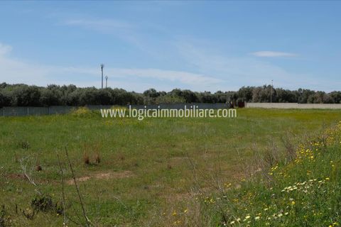 Villa i Carovigno, Brindisi, Carovigno - € 280.000 | Ref: VL298 - foto 8