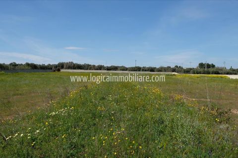 Villa i Carovigno, Brindisi, Carovigno - € 280.000 | Ref: VL298 - foto 9