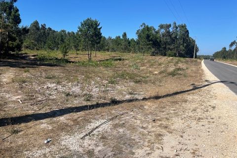 Farm i Santo Onofre e Serra do Bouro, Leiria, Santo Onofre e Serra do Bouro - € 98.000 | Ref: 143.1WCP - foto 4