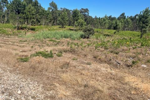 Farm i Santo Onofre e Serra do Bouro, Leiria, Santo Onofre e Serra do Bouro - € 98.000 | Ref: 143.1WCP - foto 6