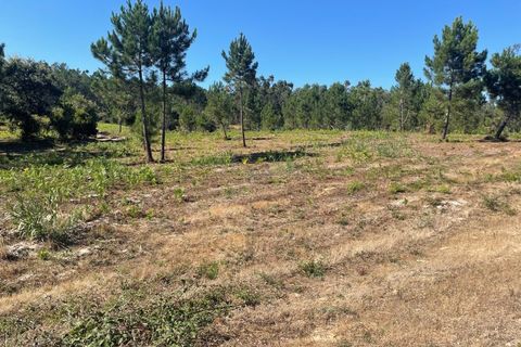 Farm i Santo Onofre e Serra do Bouro, Leiria, Santo Onofre e Serra do Bouro - € 98.000 | Ref: 143.1WCP - foto 9
