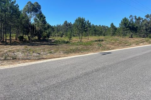 Farm i Santo Onofre e Serra do Bouro, Leiria, Santo Onofre e Serra do Bouro - € 98.000 | Ref: 143.1WCP - foto 10