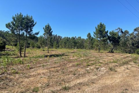 Farm i Santo Onofre e Serra do Bouro, Leiria, Santo Onofre e Serra do Bouro - € 98.000 | Ref: 143.1WCP - foto 12