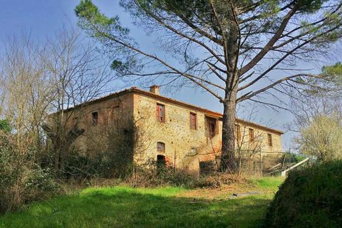 Landejendom i Peccioli, Pisa, Peccioli - € 600.000 | Ref: v3670v-x - foto 1