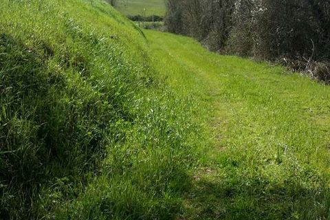 Landejendom i Peccioli, Pisa, Peccioli - € 600.000 | Ref: v3670v-x - foto 4