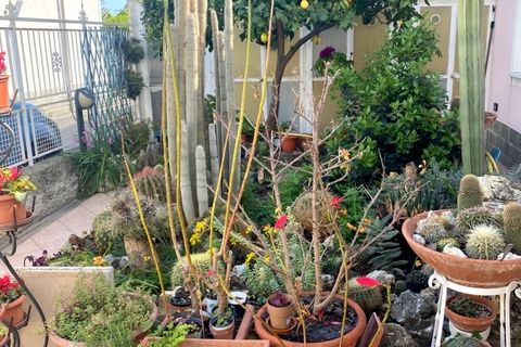 Villa a Taggia, Imperia, Taggia - € 370.000 | Ref: Q237 - foto 20